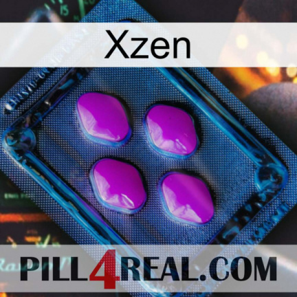 Xzen 04